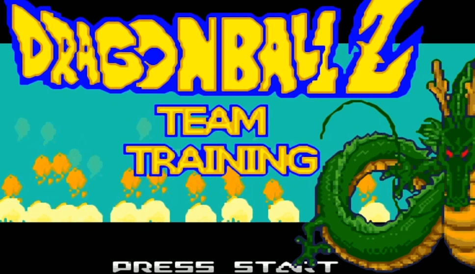 Dragon Ball z team training fighters